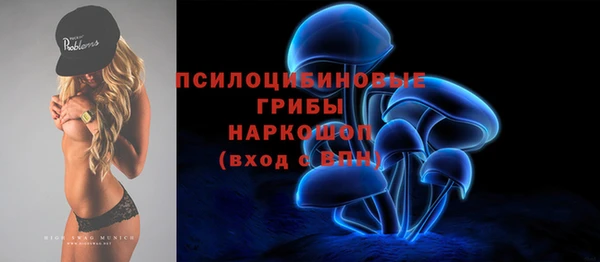 Альфа ПВП Богородицк
