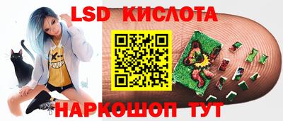 крисы Камышлов