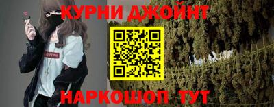 крисы Камышлов