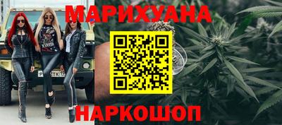 крисы Камышлов