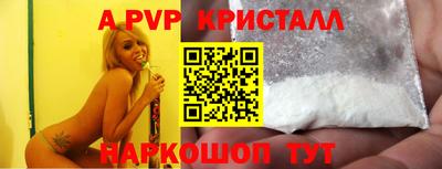 крисы Камышлов