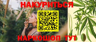 тгк Канаш