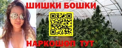 тгк Канаш