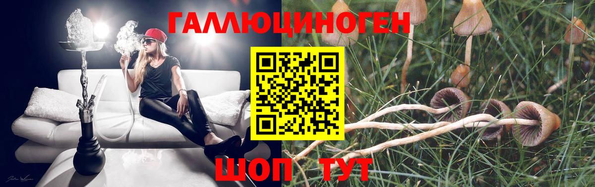 Псилоцибиновые грибы MAGIC MUSHROOMS Наро-Фоминск